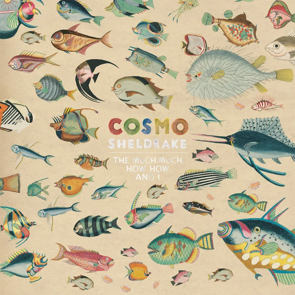 The album art for Cosmo Sheldrake's The Much Much How How and I