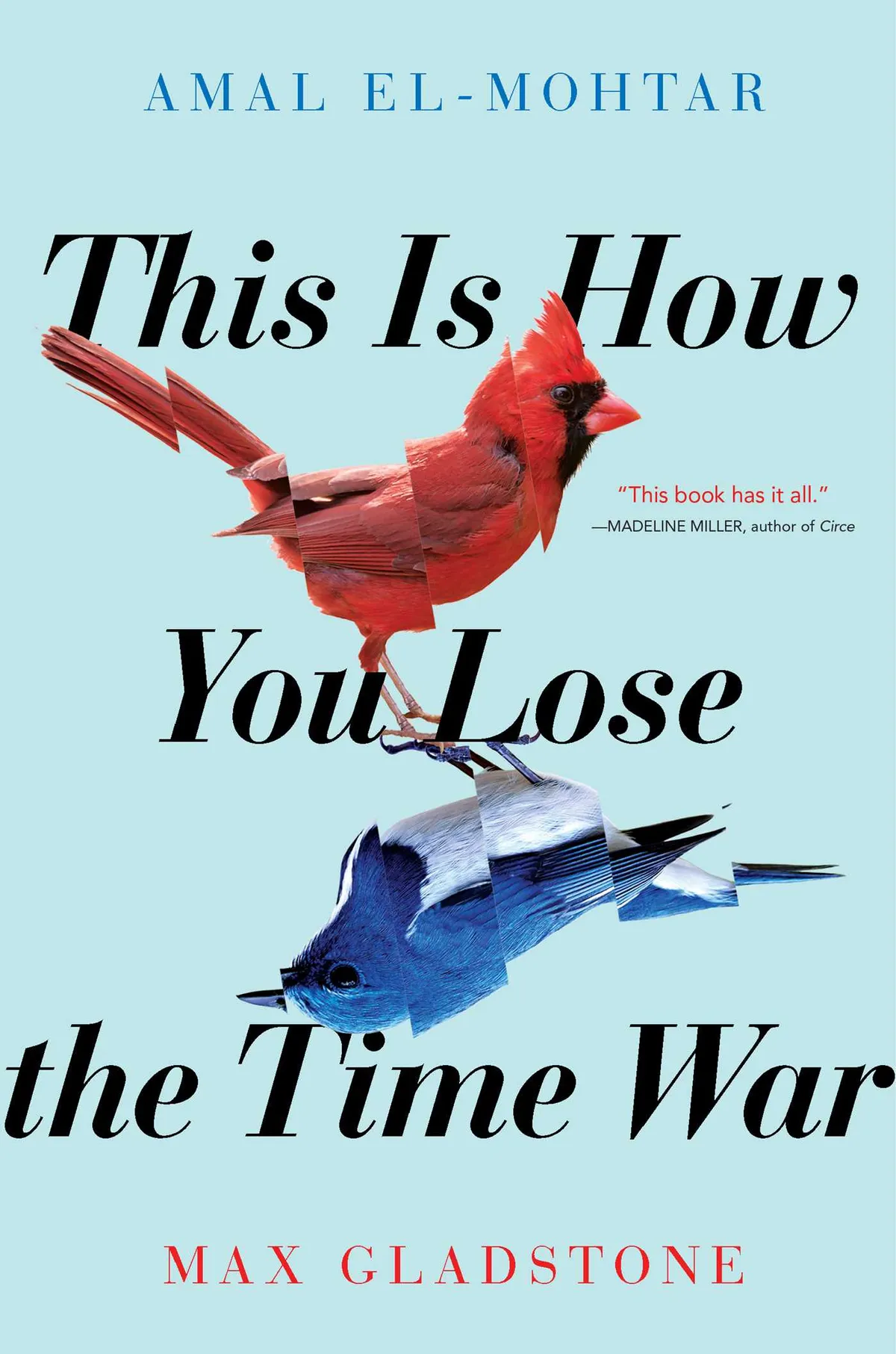 The cover art for This is How You Lose the Time War by Amal El-Mohtar & Max Gladstone