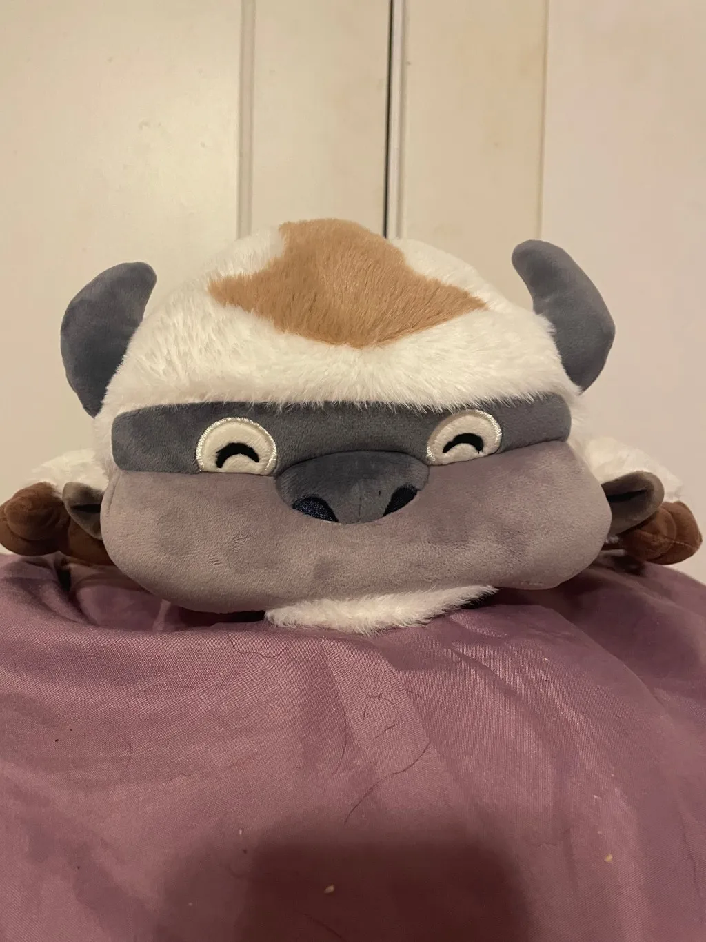 an appa plush resting on a purple bedsheet