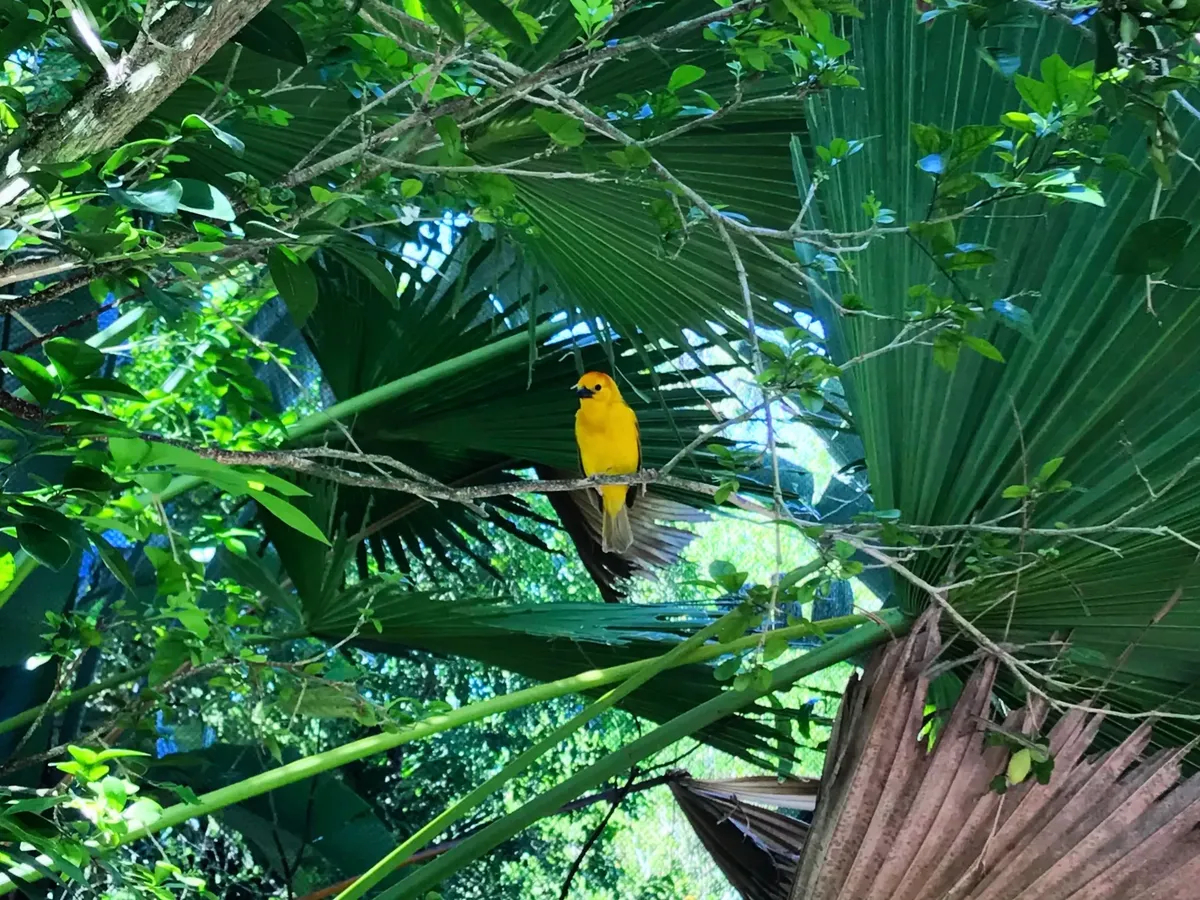 7baac145-f64a-4a10-8351-ab1d763abf8d