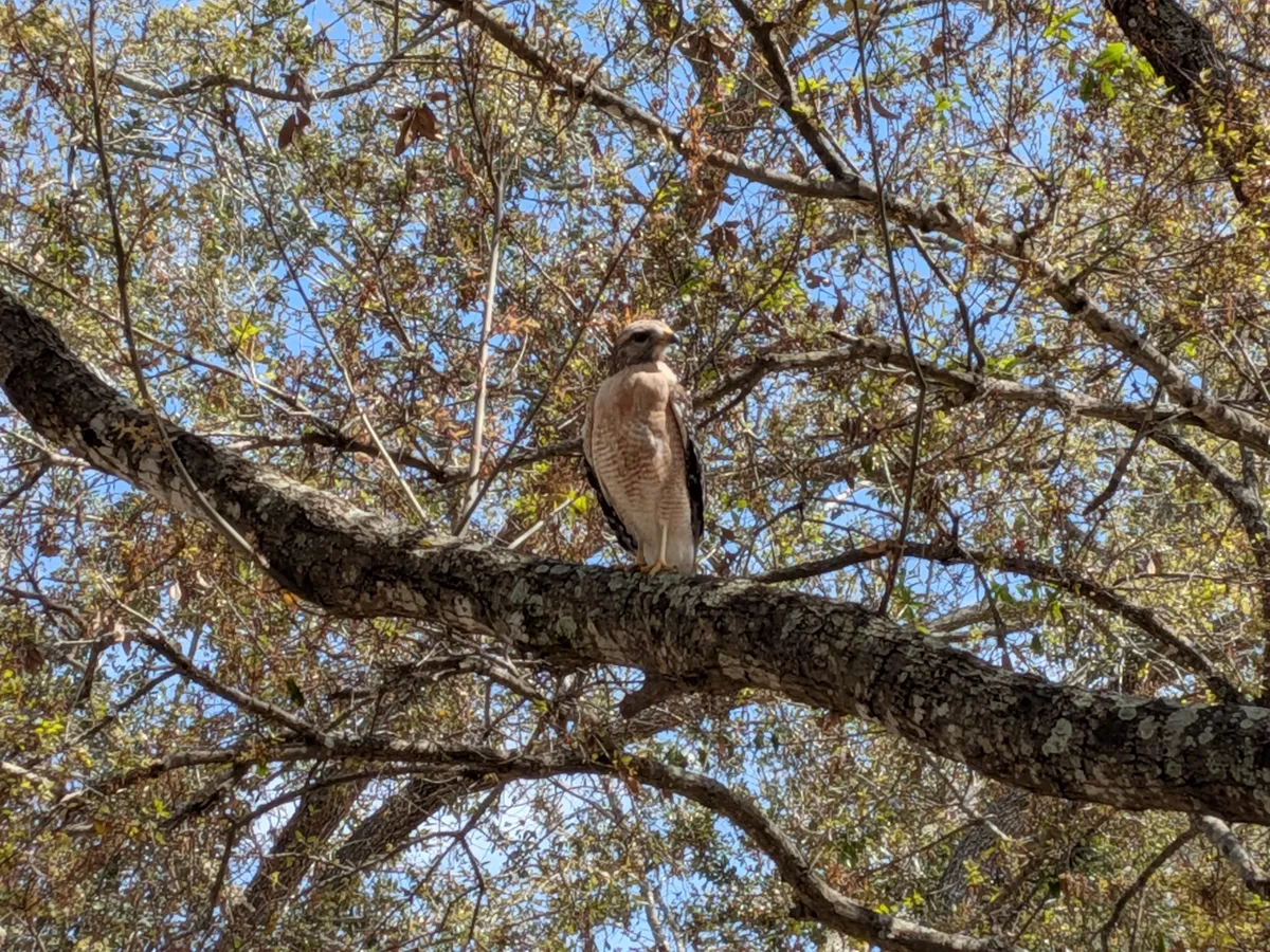 PXL_20260226_180256123