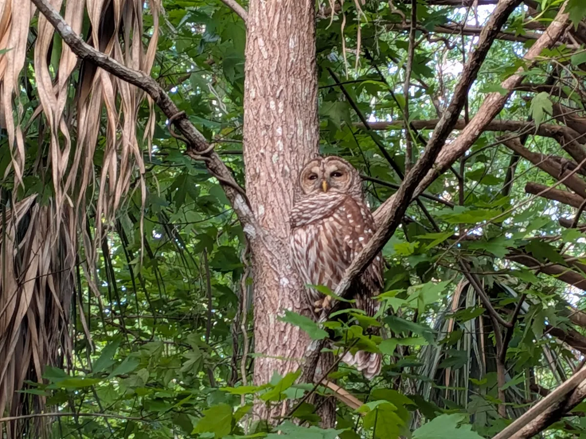 PXL_20260301_221445446