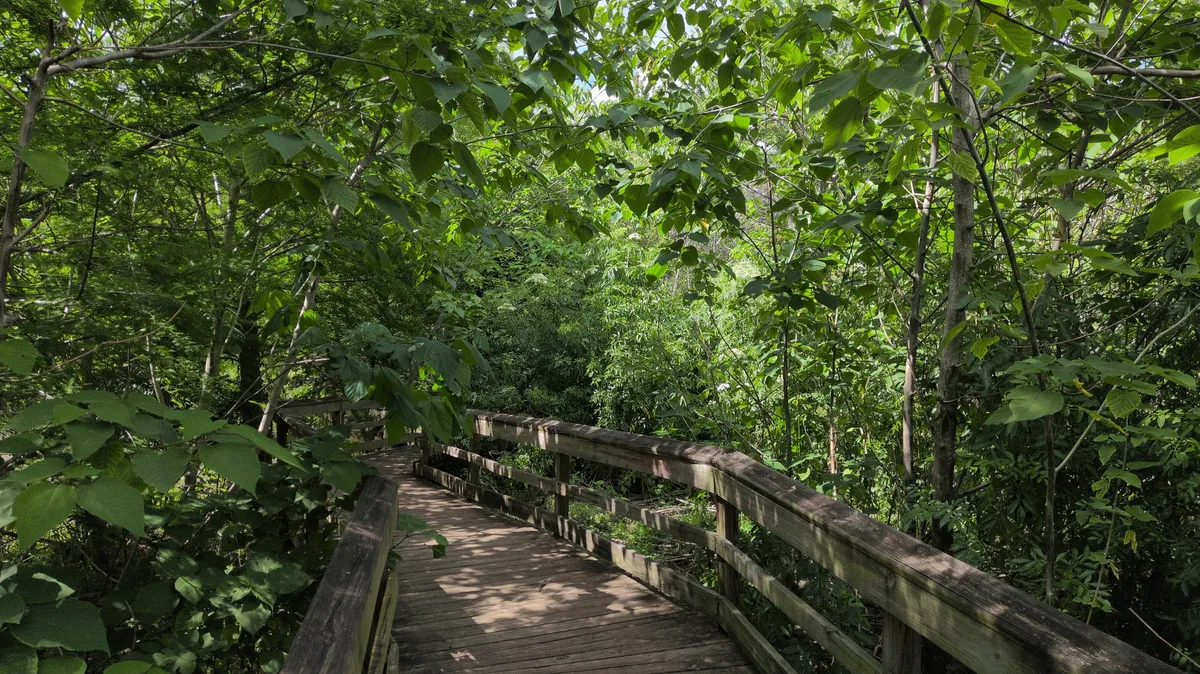 trail