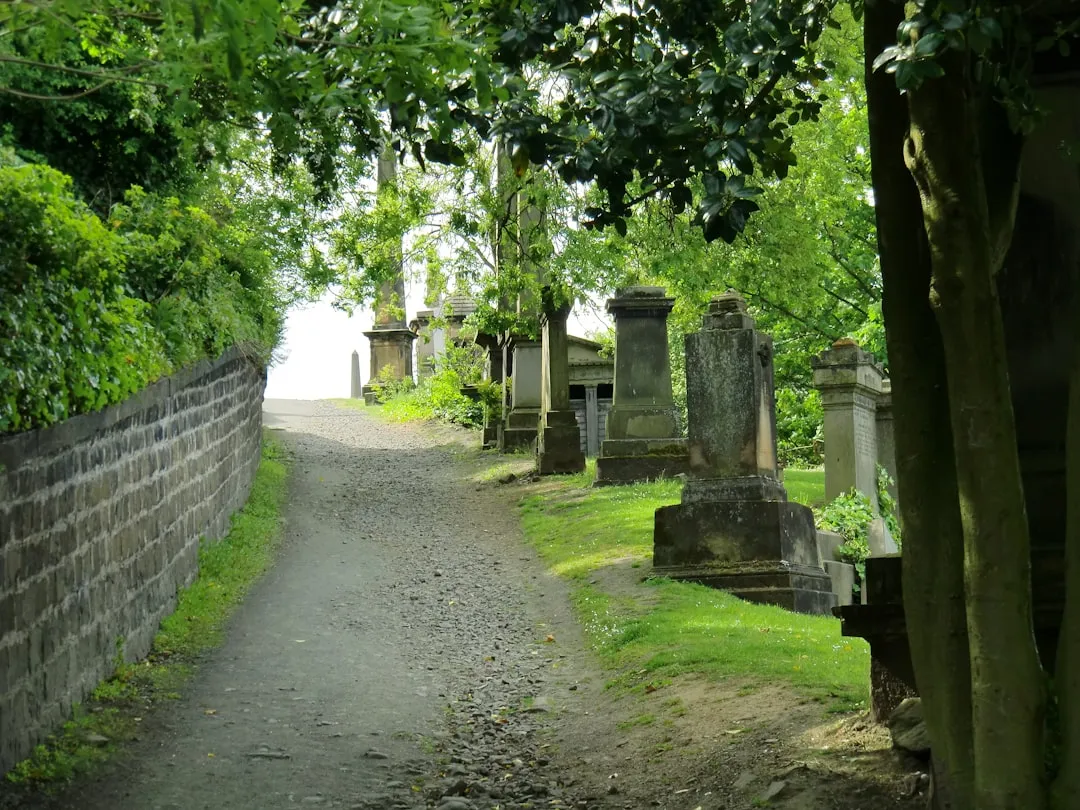 Friedhof