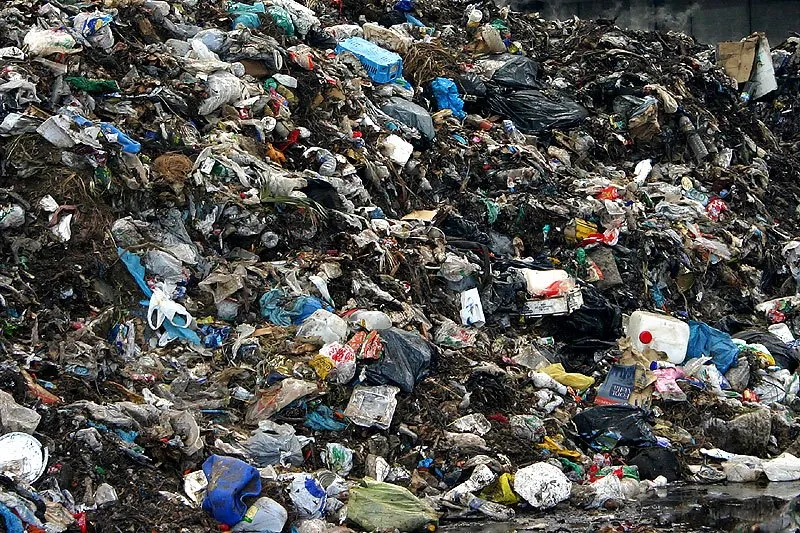garbage-1