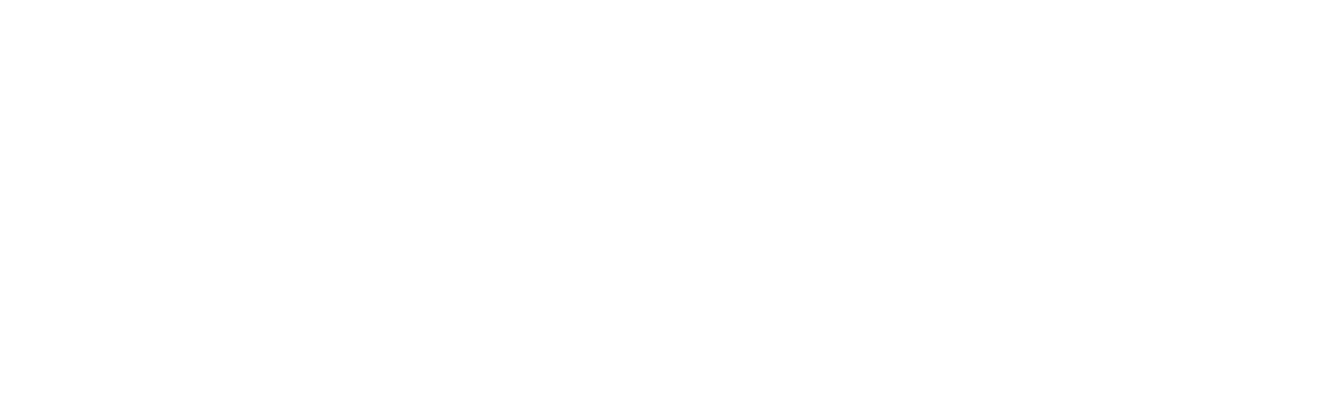 brain-made-white-logo