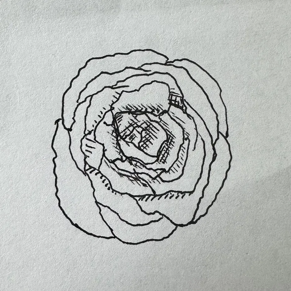 a hand drawn flower in black ink on white paper. there's no stem, just the head of the flower as though viewing it head on.