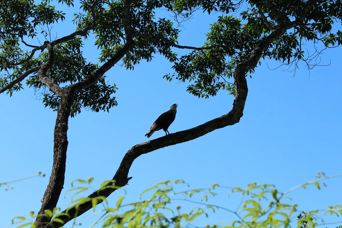 1_A0Dvbq0n8l7tgps4IjAWww