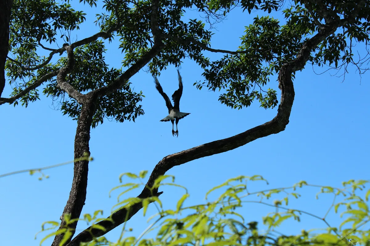 1_w9qXql0vPp5zkk8QlM0Svg