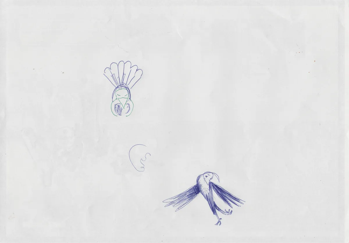 Oiseaux