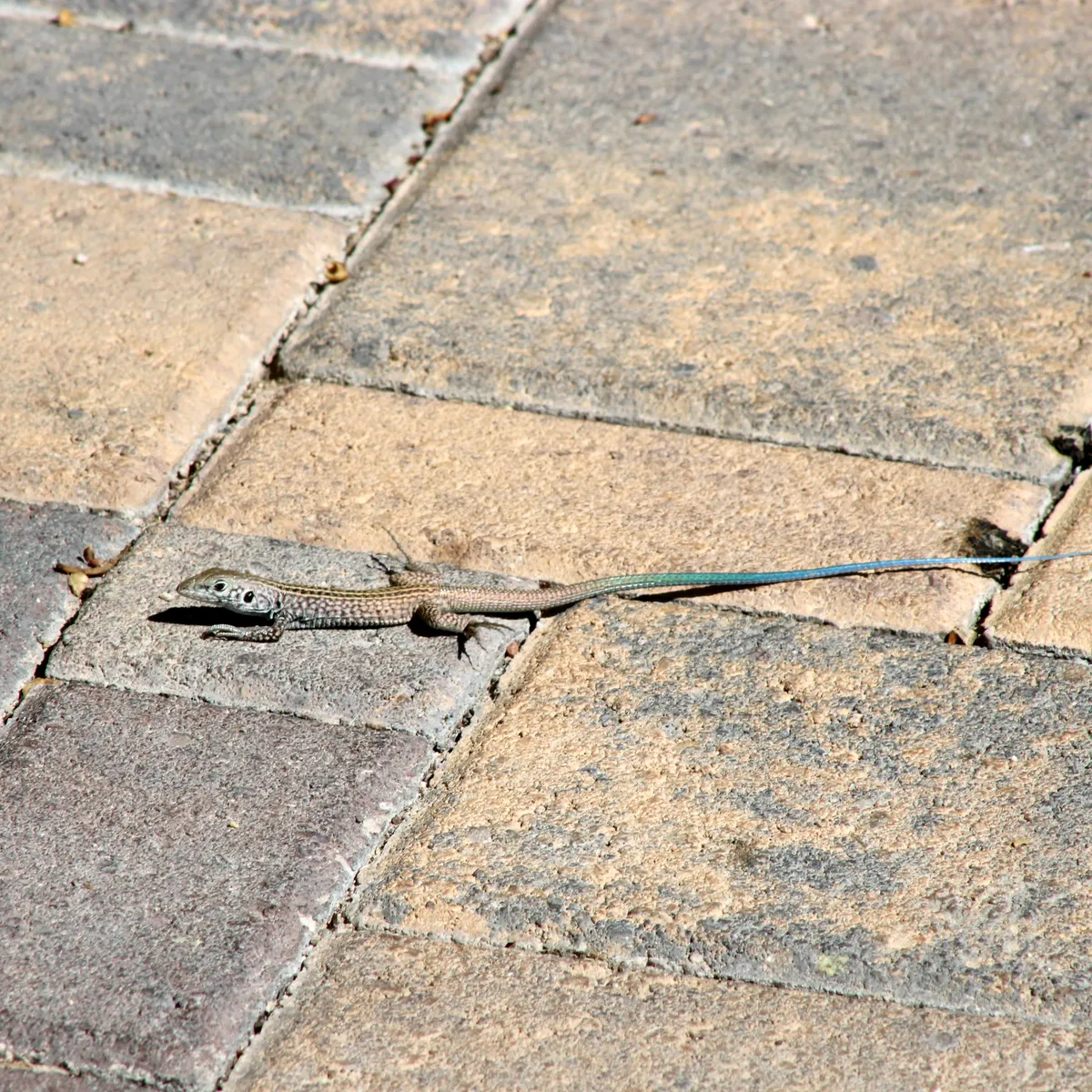 IMG_0171-edited-edited