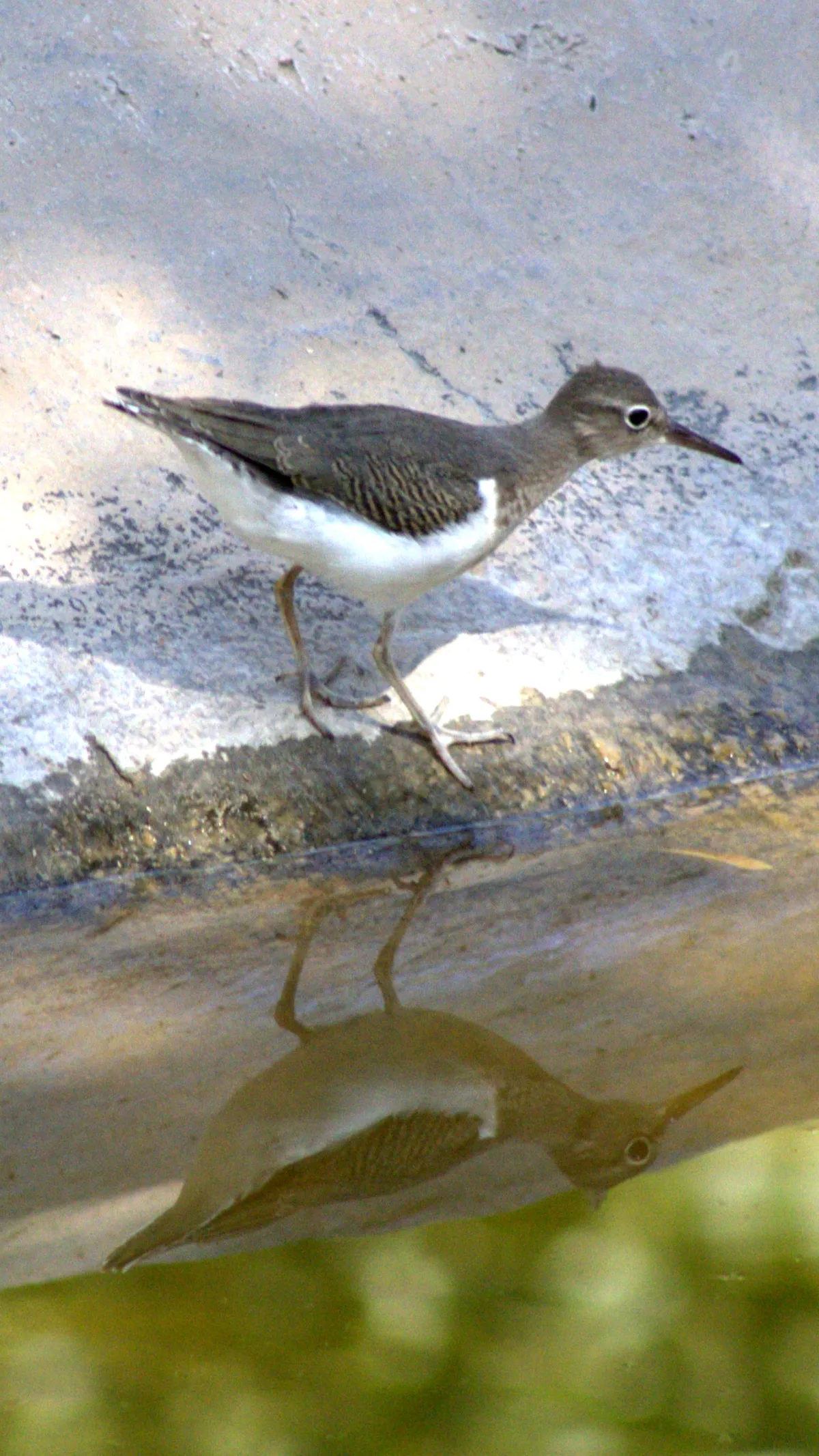 IMG_0693-edited-edited