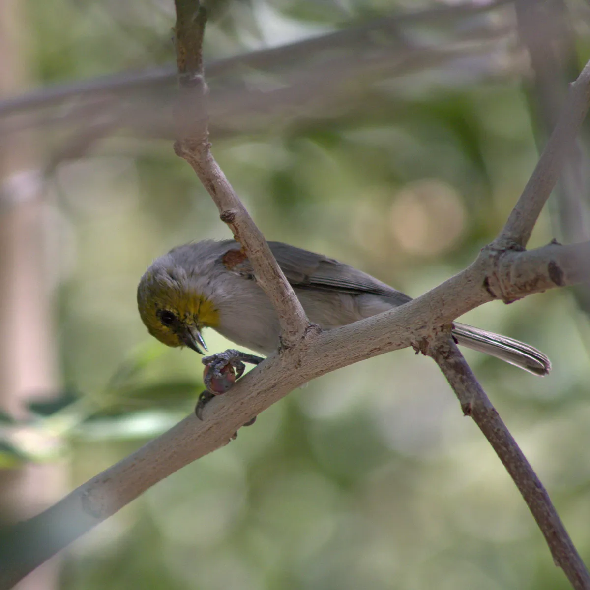 IMG_1305-edited-edited