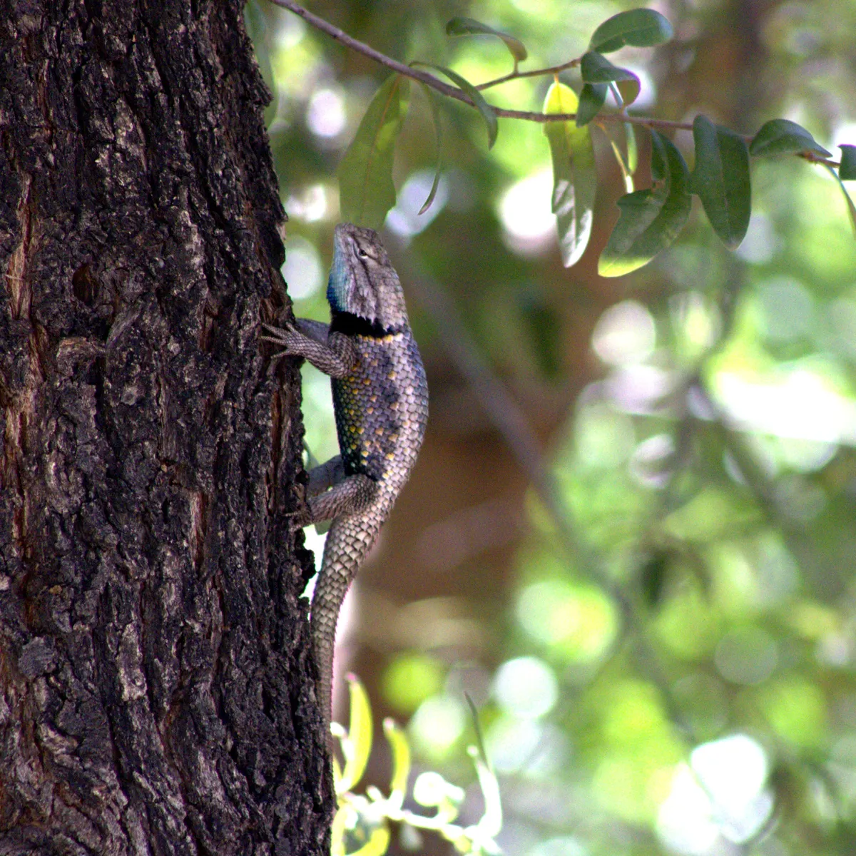 IMG_1376-edited-edited