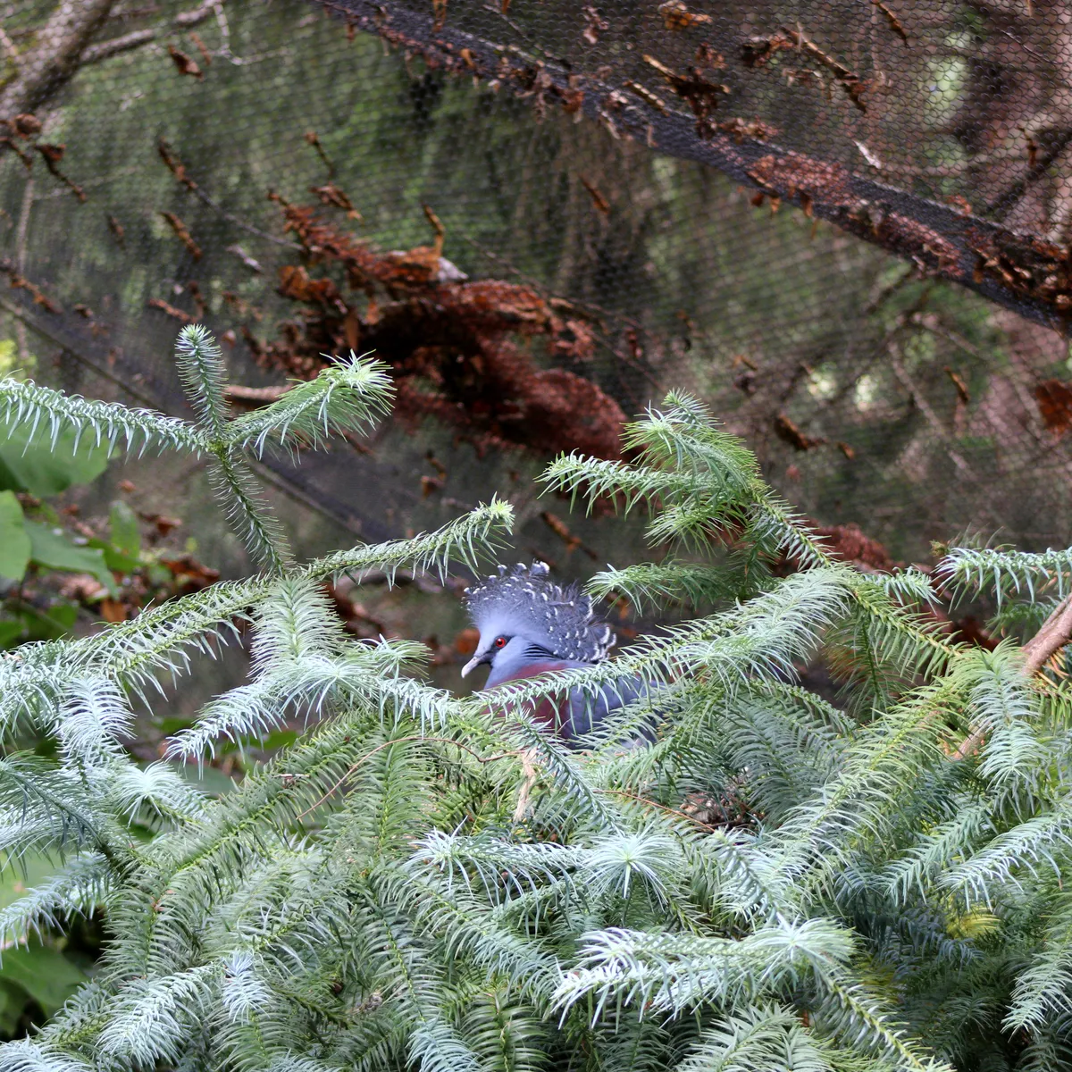 IMG_1481-editedbetter-edited