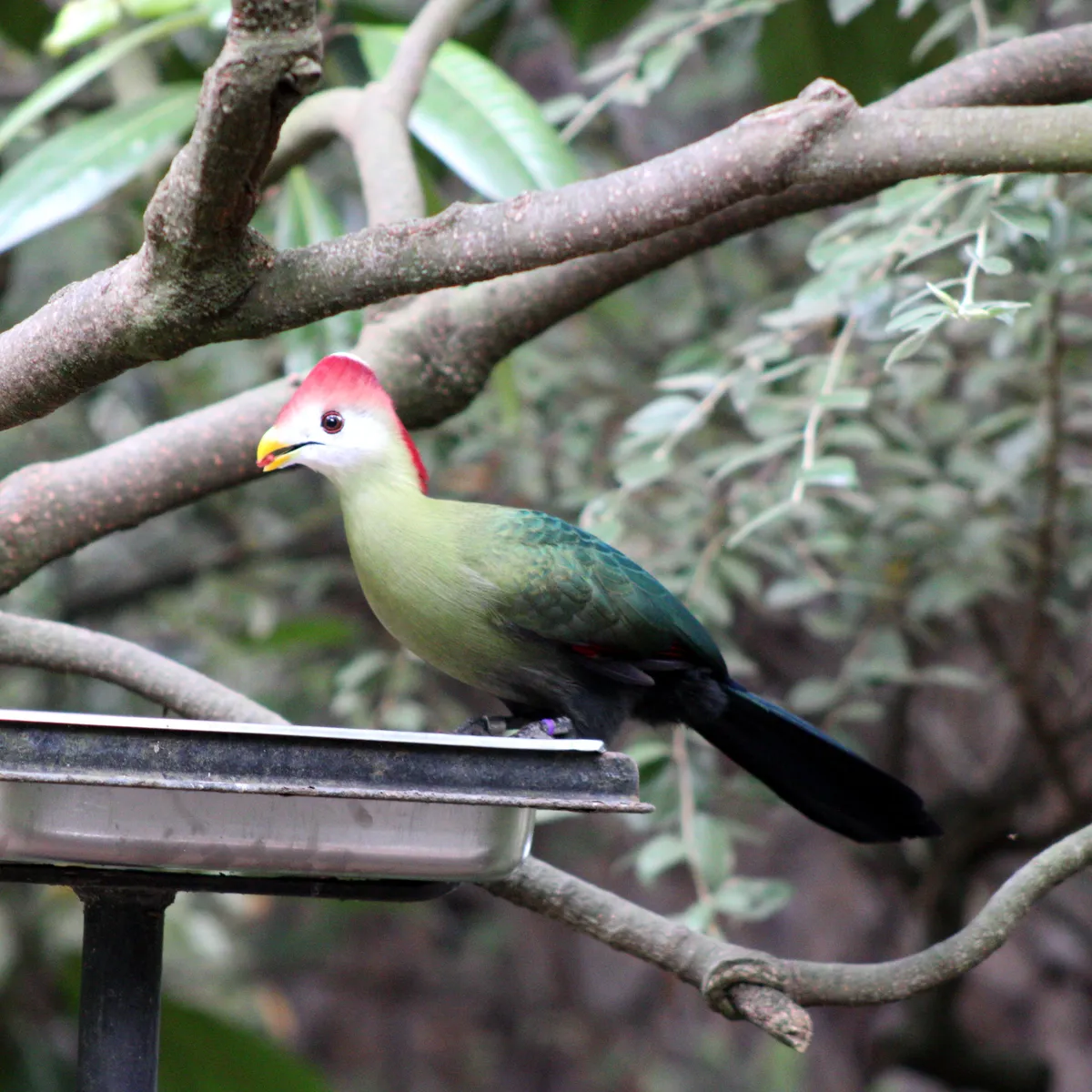 IMG_1493-edited-edited