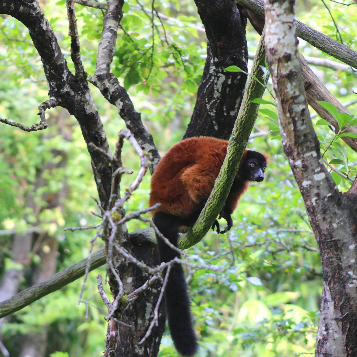 IMG_1611-edited-edited