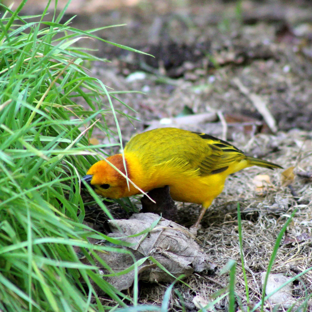 IMG_1802-edited-edited