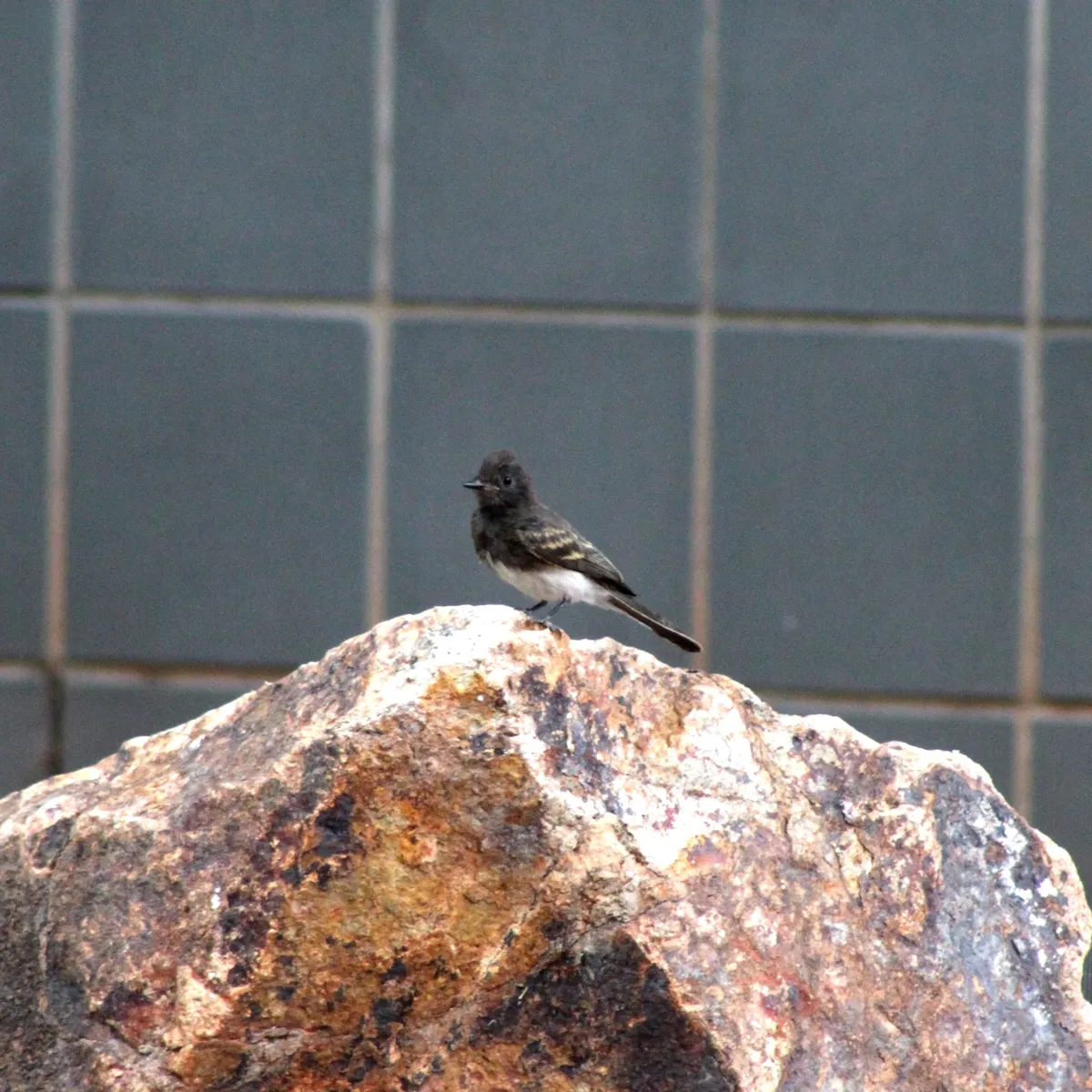 IMG_3020-edited-edited