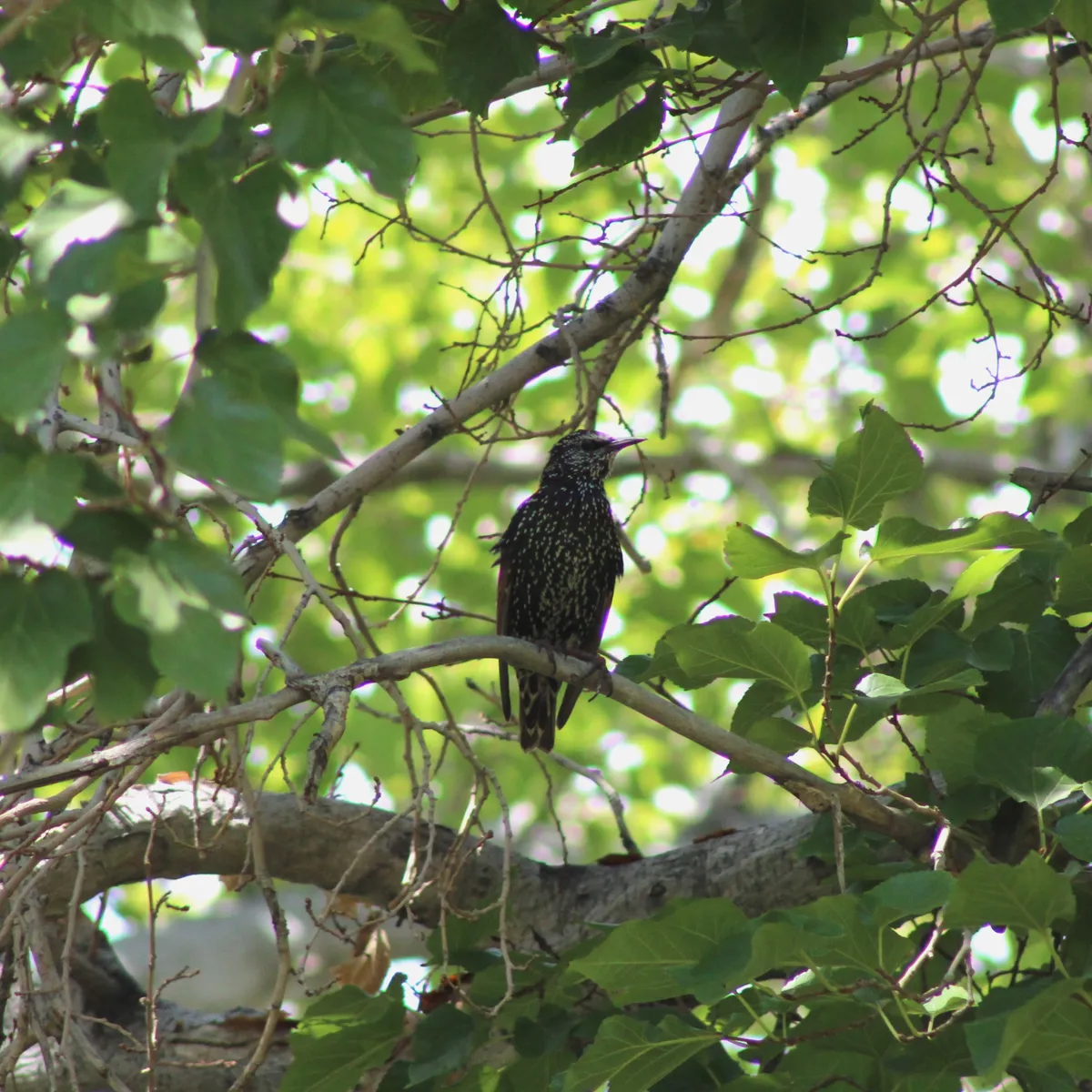 IMG_3113-edited-edited