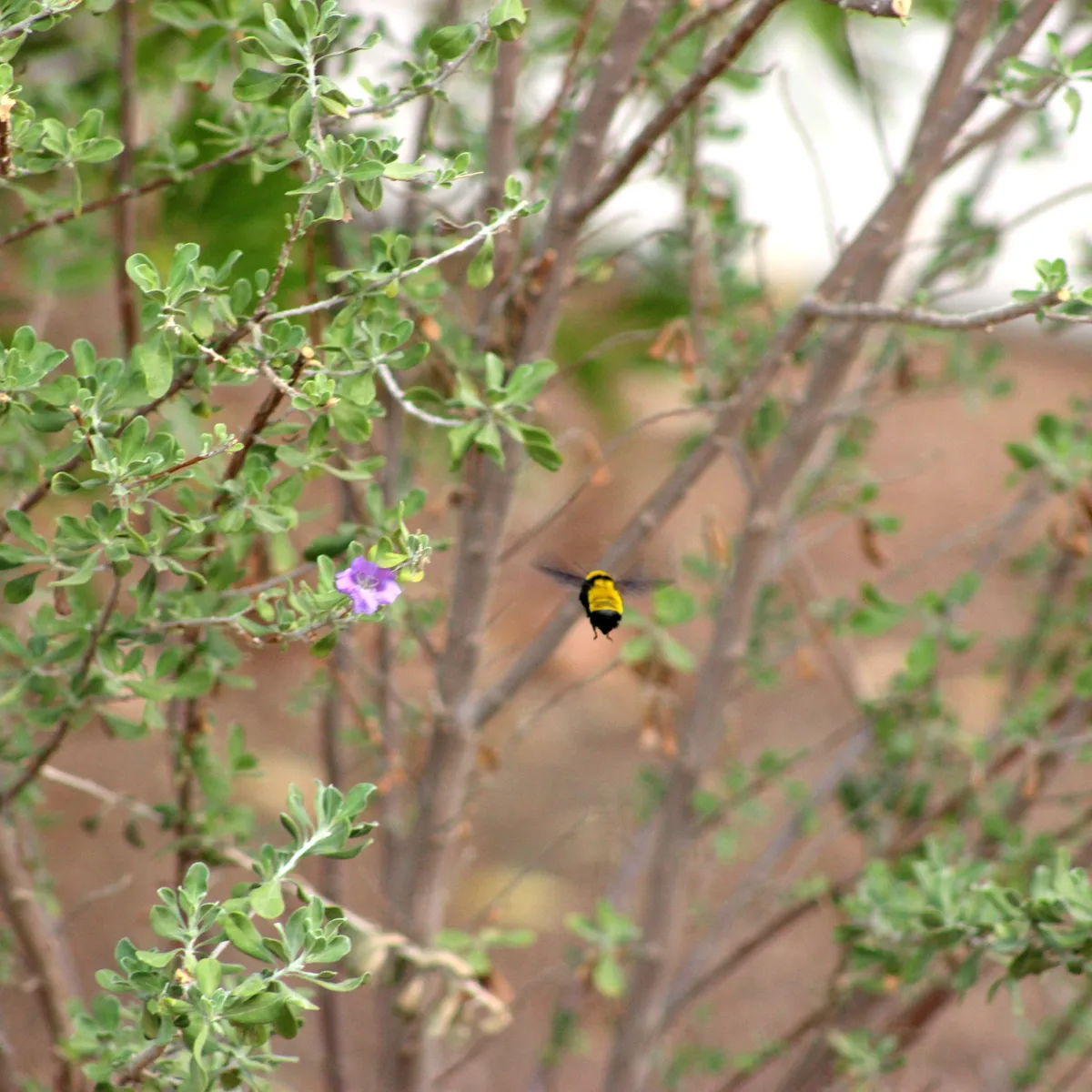 IMG_3206-edited-edited