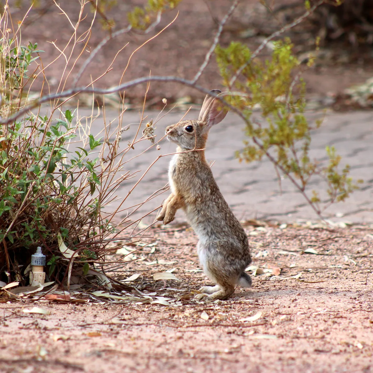 IMG_3225-edited-edited