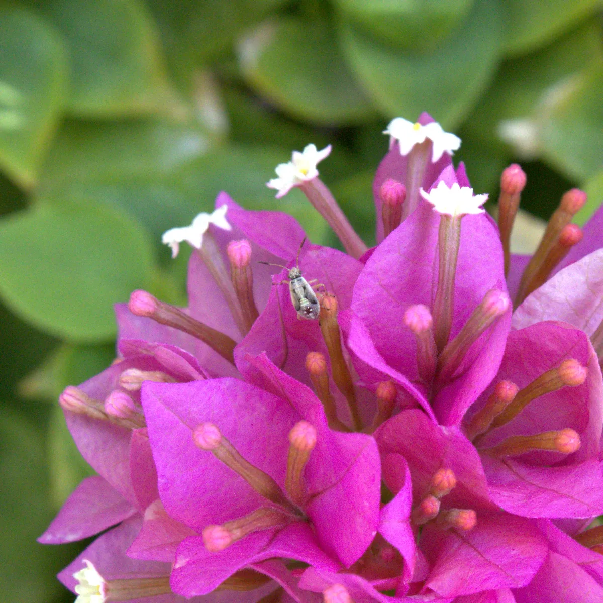 IMG_6830-edited-edited