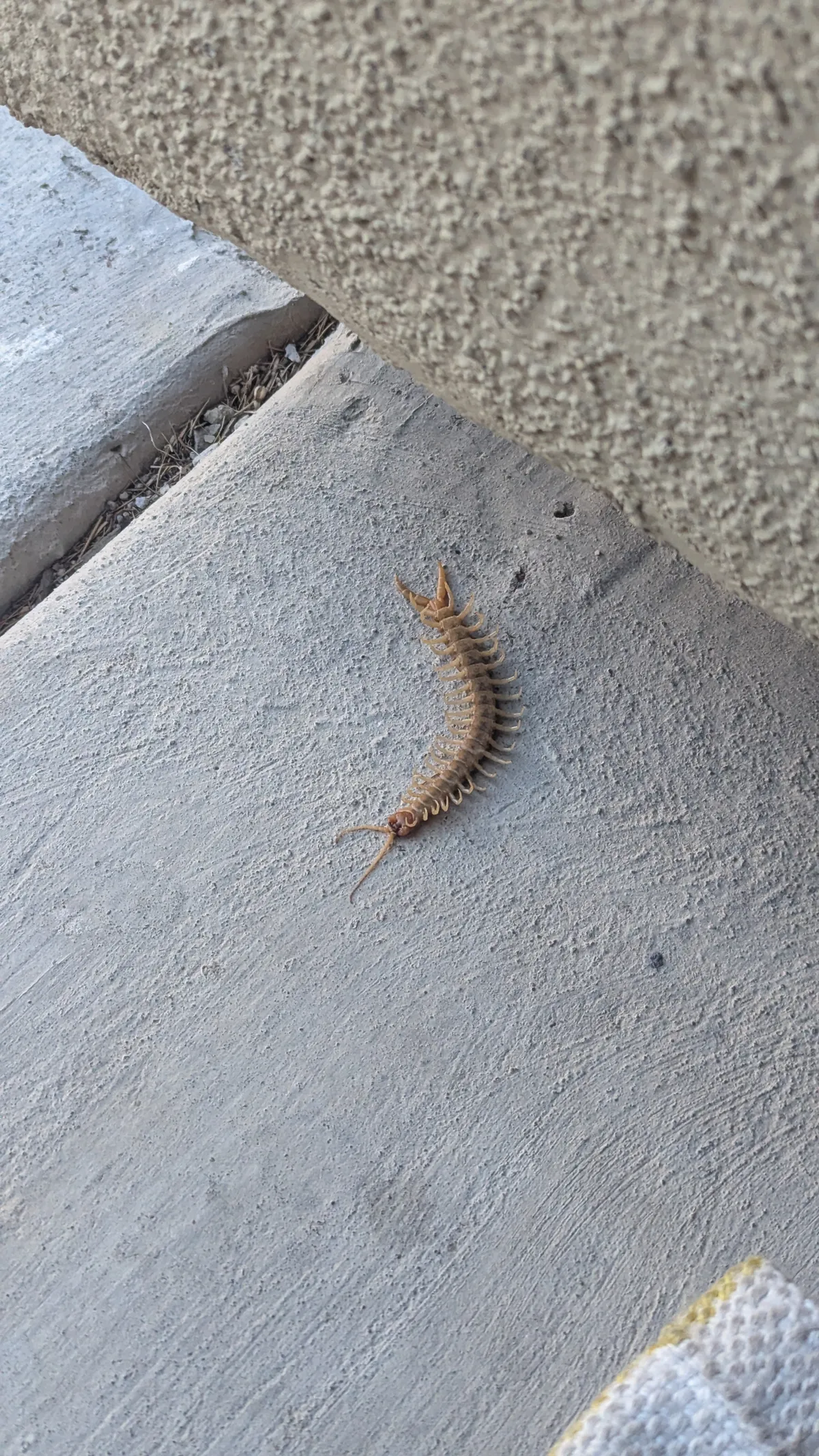 PXL_20250205_154211223