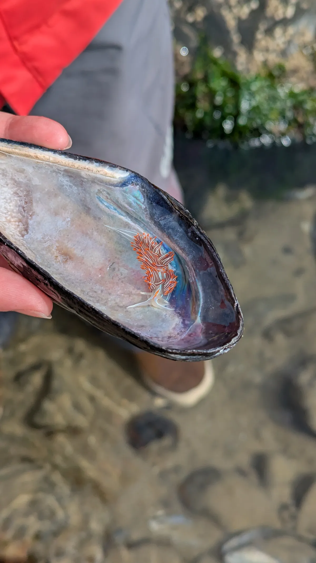 PXL_20250409_231136092