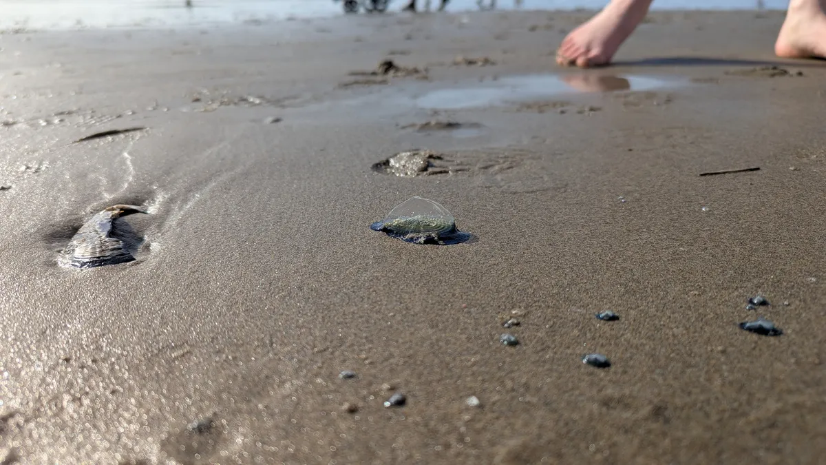 PXL_20250409_235415746