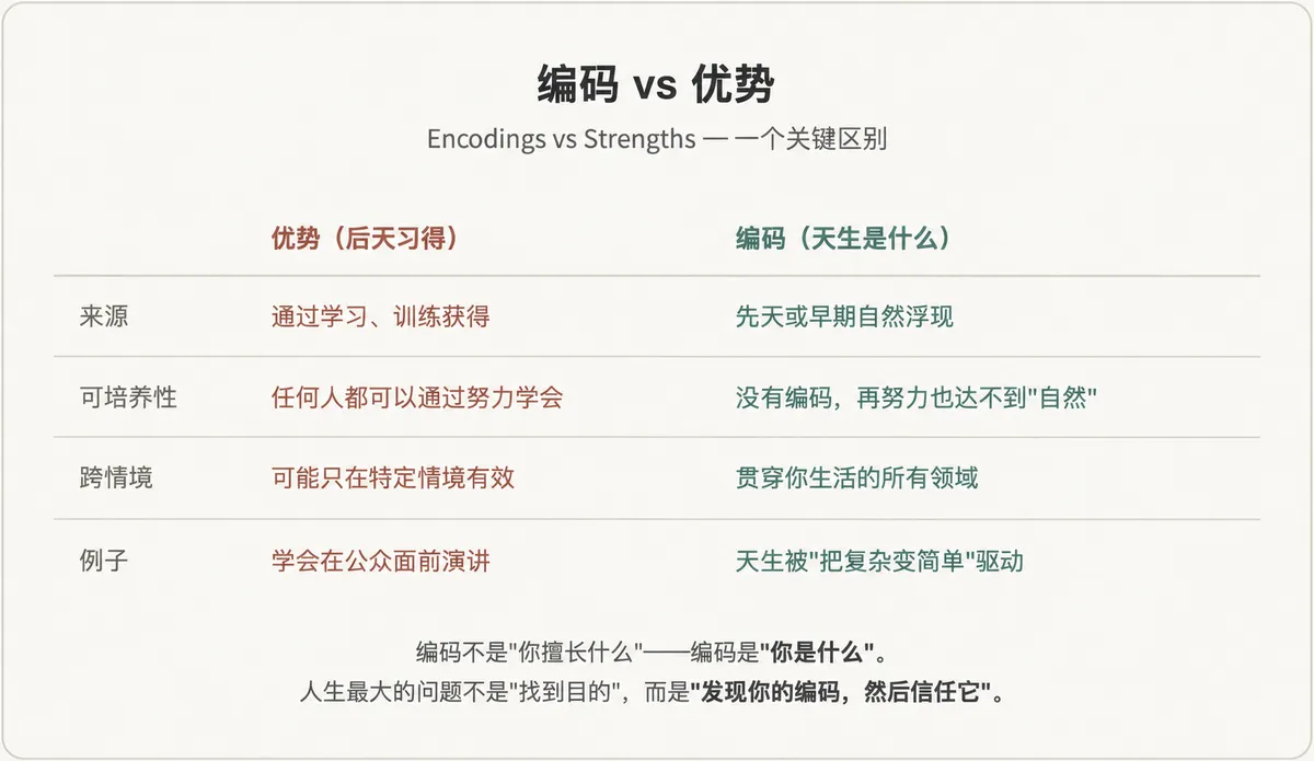编码 vs 优势