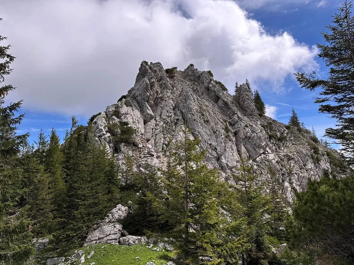 Ein felsiger Berg erhebt sich majestätisch zwischen grünen Nadelbäumen unter einem blauen Himmel mit Wolken.