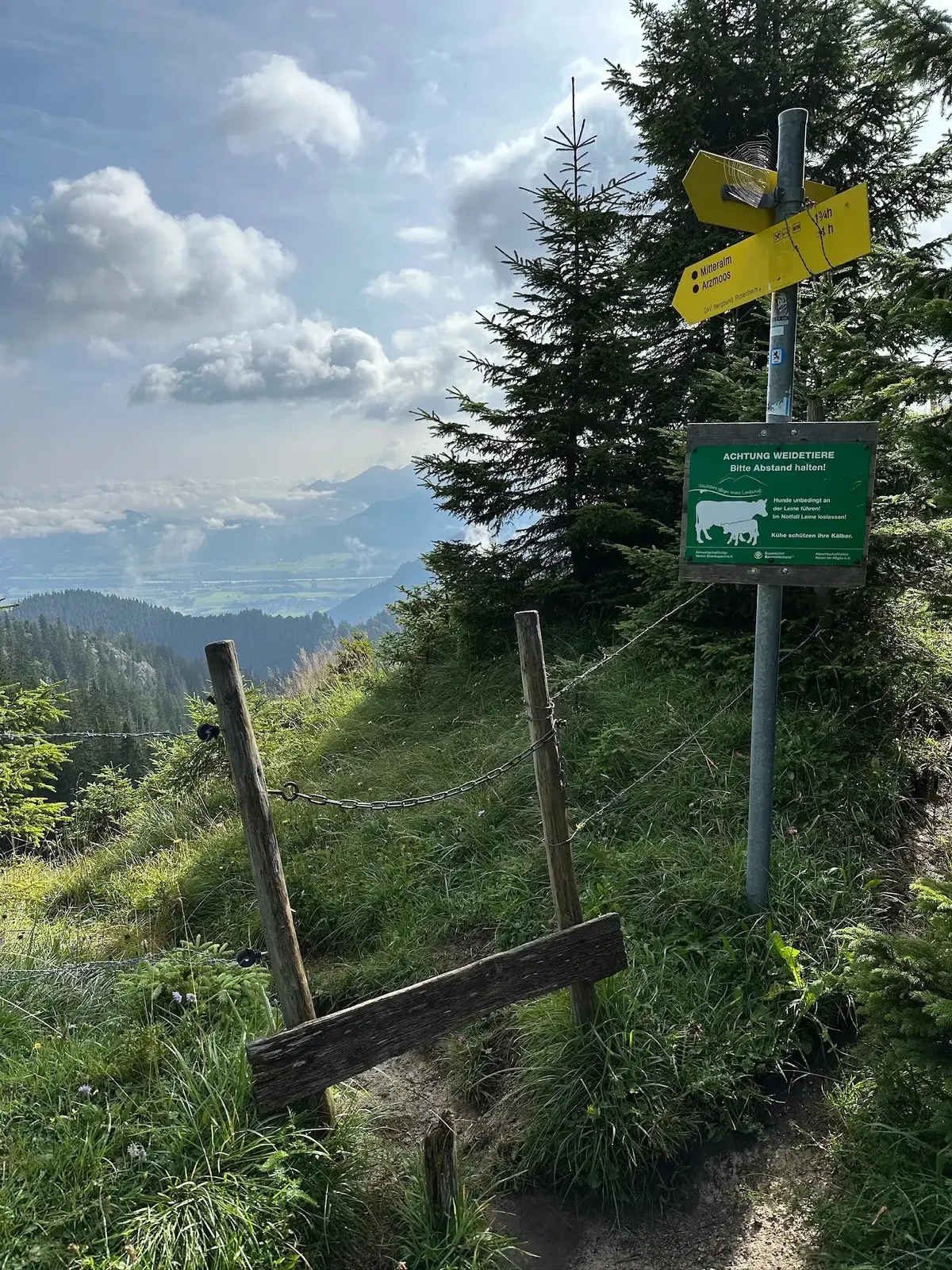 Ein schmaler, grasbewachsener Pfad mit einem Holzzaun und einer Warntafel, die auf weidende Kühe hinweist ("Achtung Weidetiere"). Der Pfad führt zu einem bewaldeten Abhang mit Blick auf ein weites Tal und ferne Berge unter einem hellen Himmel.