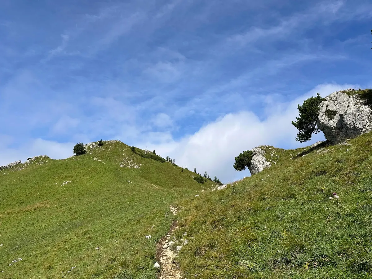 Ein schmaler, steiniger Wanderweg führt einen steilen, grasbewachsenen Berghang hinauf. Rechts auf einem Felsen wächst ein kleiner Baum.