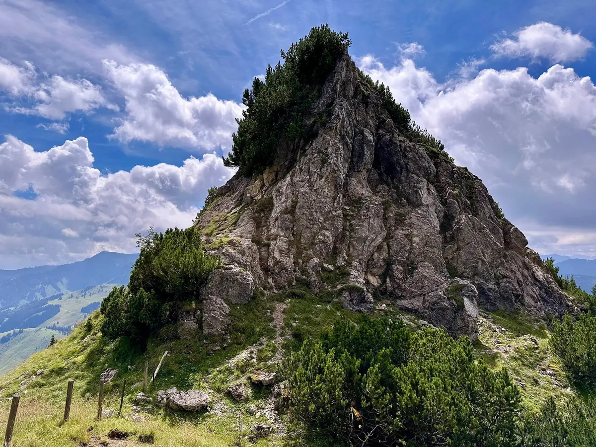 Ein markanter, pyramidenförmiger Felsgipfel, der dicht mit kleinen Bäumen und Gestrüpp bewachsen ist. Im Vordergrund sind grüne Almwiesen und ein Zaunpfahl zu sehen. Der Himmel ist blau mit dramatischen weißen Wolken.