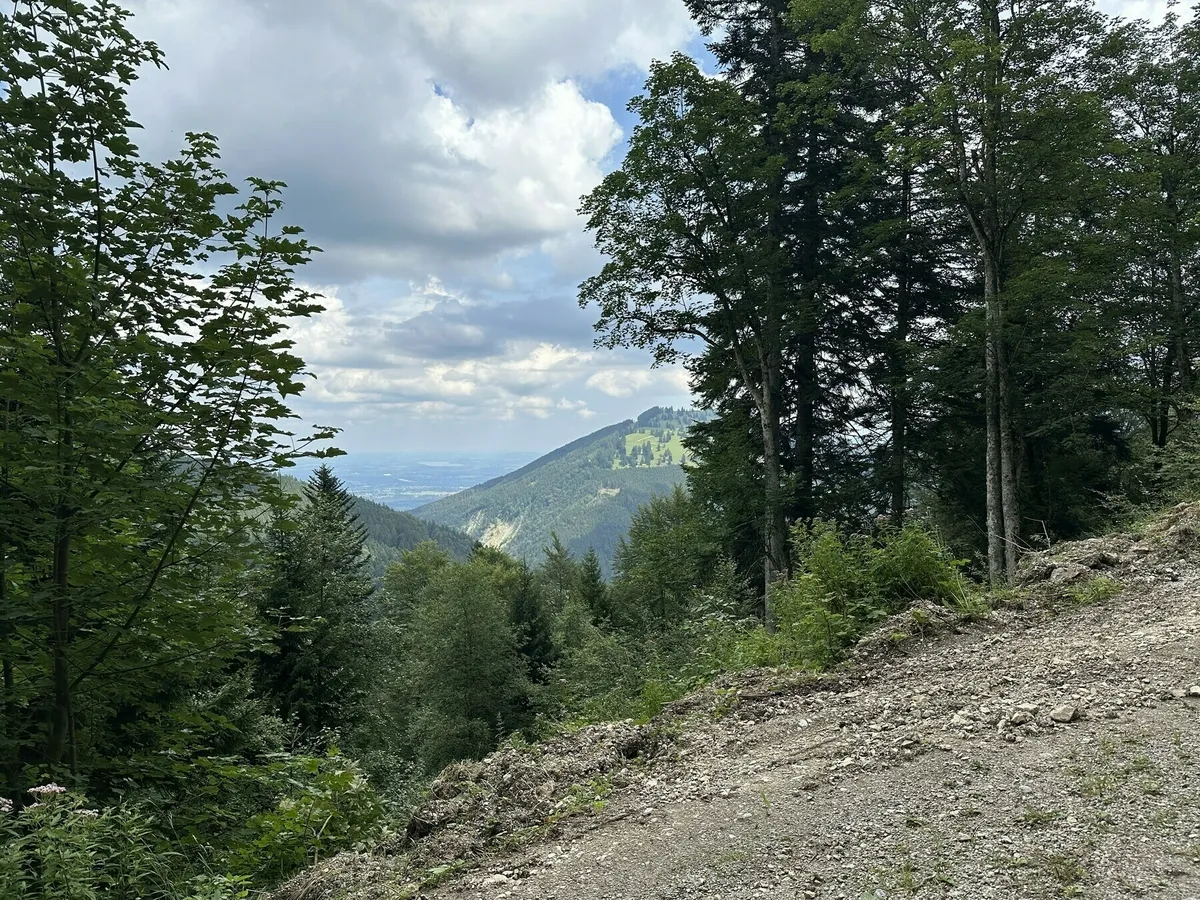 Blick aus einem Wald auf einen steilen, steinigen Hang und dahinter ein weites, grünes Tal. In der Ferne sind hellgrüne Wiesen auf einem Hügel und dahinter das weite Flachland zu sehen.