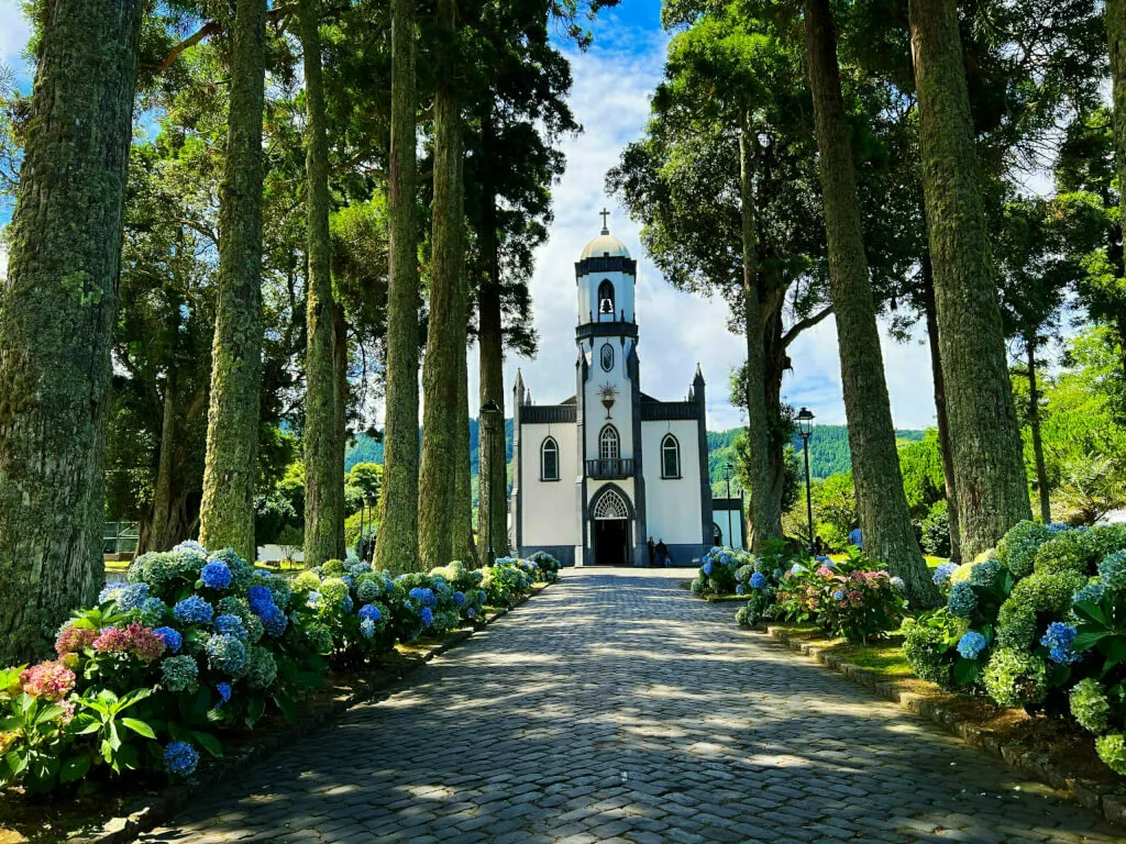 Die Allee aus Bäumen und Hortensien an der Kirche Igreja de São Nicolau in Sete Cidades.