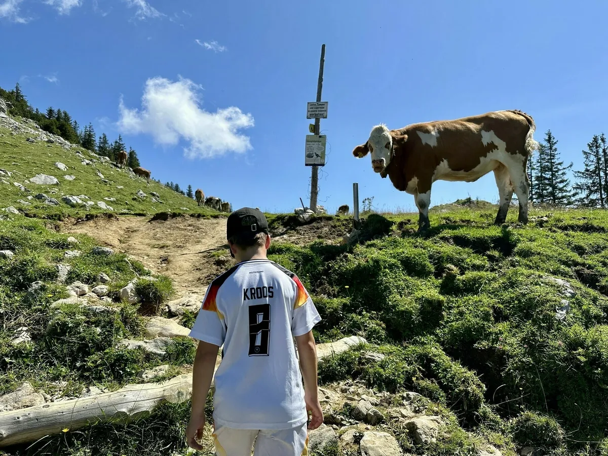 Ein Kind in einem Trikot mit dem Namen Kroos und der Nummer 8 steht auf einem steilen, steinigen Bergpfad und blickt zu einer braun-weißen Kuh auf einer grasbewachsenen Anhöhe. Im Hintergrund ist ein Wegweiser zu sehen.