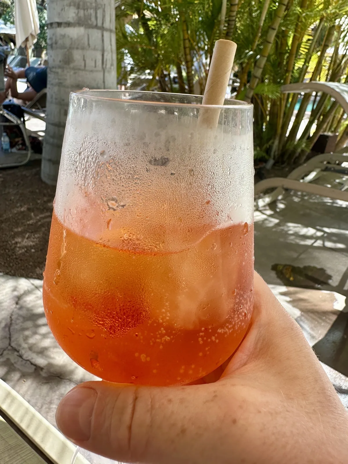 Ein Glas Aperol Spritz, das auf Eis serviert wird, wird von einer Hand gehalten; im Hintergrund sind tropische Pflanzen zu sehen.