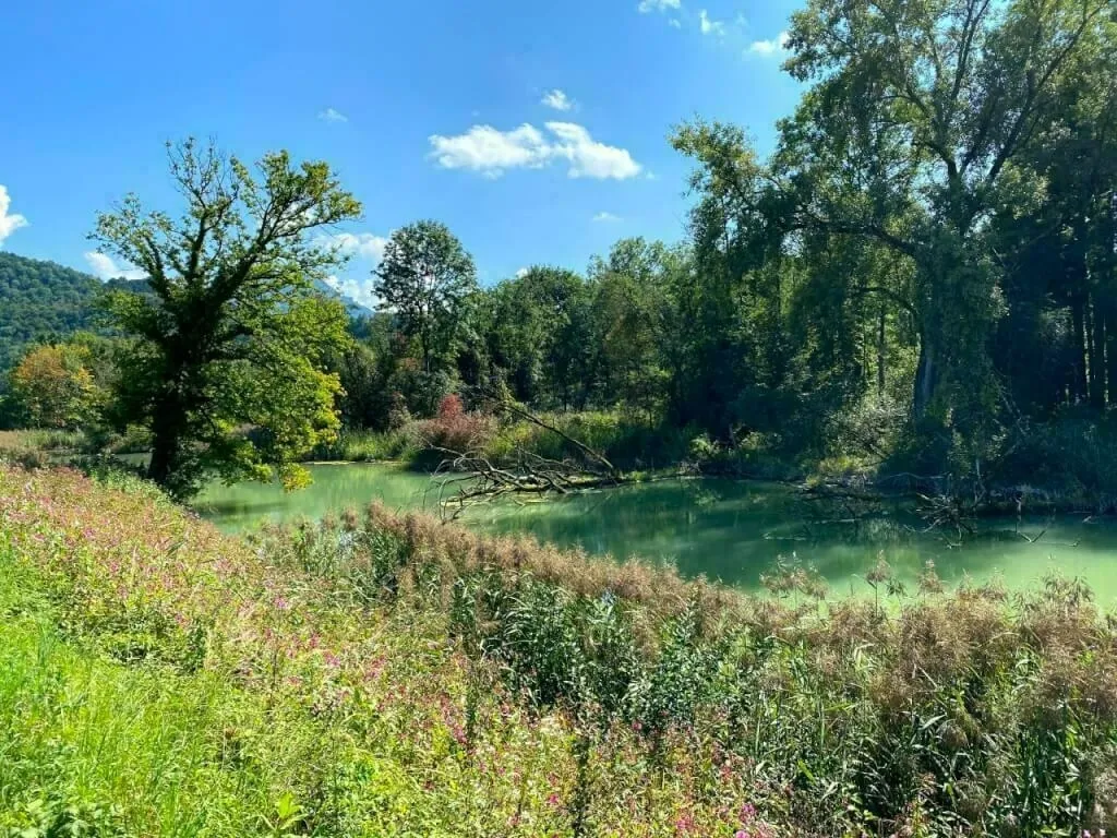 Herrliches Bild an einem Seitenarm des Inn