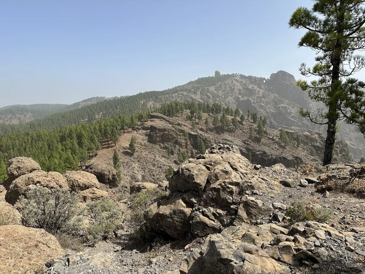Eine bergige Landschaft mit zahlreichen Bäumen und Felsen.