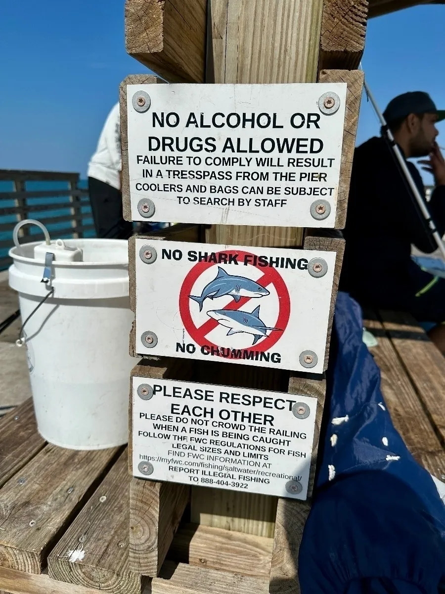 Drei Schilder, die an einem Holzpfosten auf einer Pier befestigt sind. Die Regeln verbieten Alkohol/Drogen, Haifischfang, Chumming (Anfüttern) und fordern Respekt und die Einhaltung der Fischereivorschriften.
