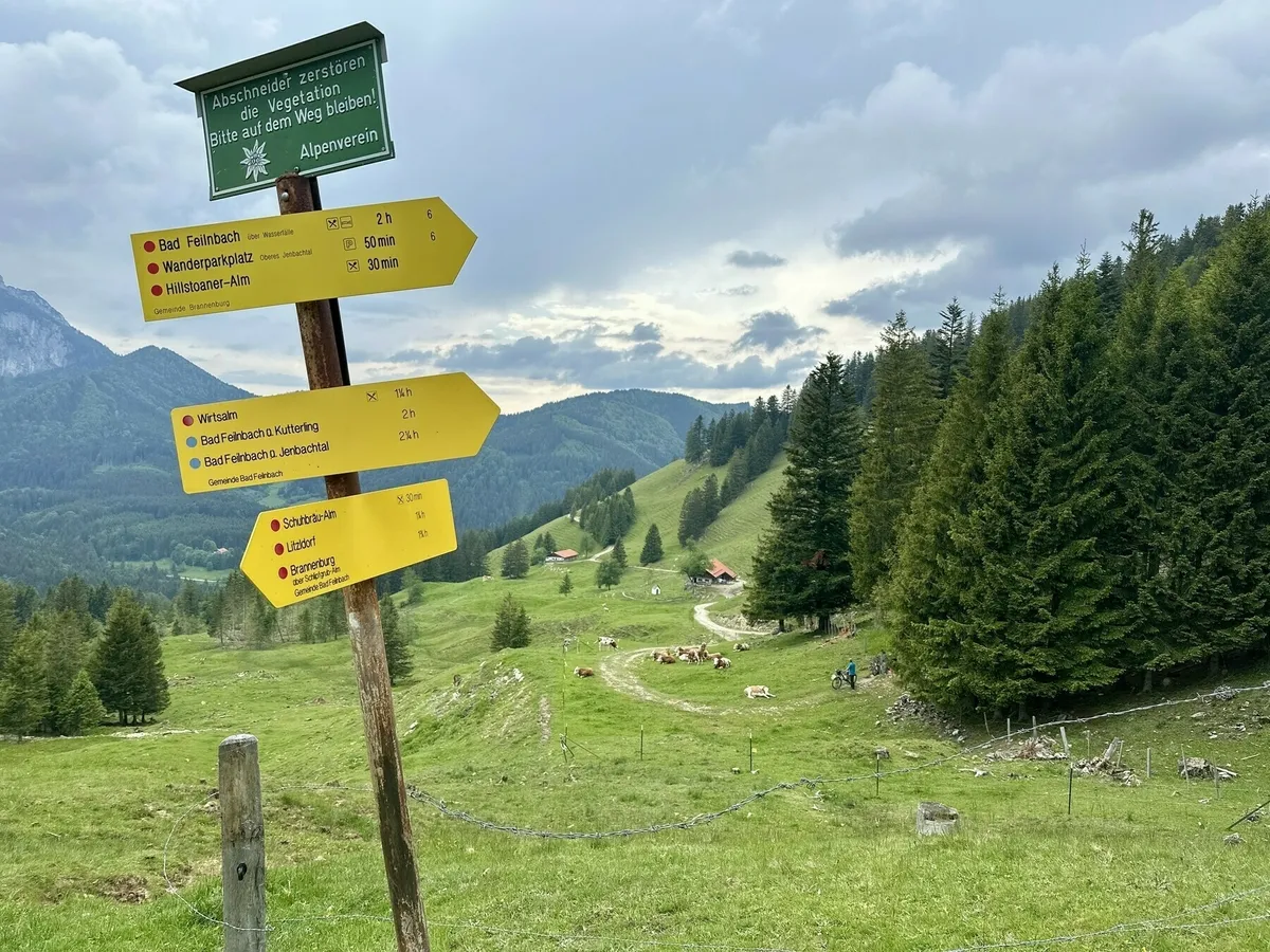 Ein gelbes Wanderschild des Alpenvereins mit mehreren Richtungsangaben (z.B. Bad Feilnbach, Hillstoaner-Alm, Wirtsalm) vor einer weitläufigen grünen Bergwiese. Im Hintergrund weiden Kühe, umgeben von bewaldeten Hügeln und Bergen. Das obere Schild warnt davor, die Vegetation zu zerstören.
