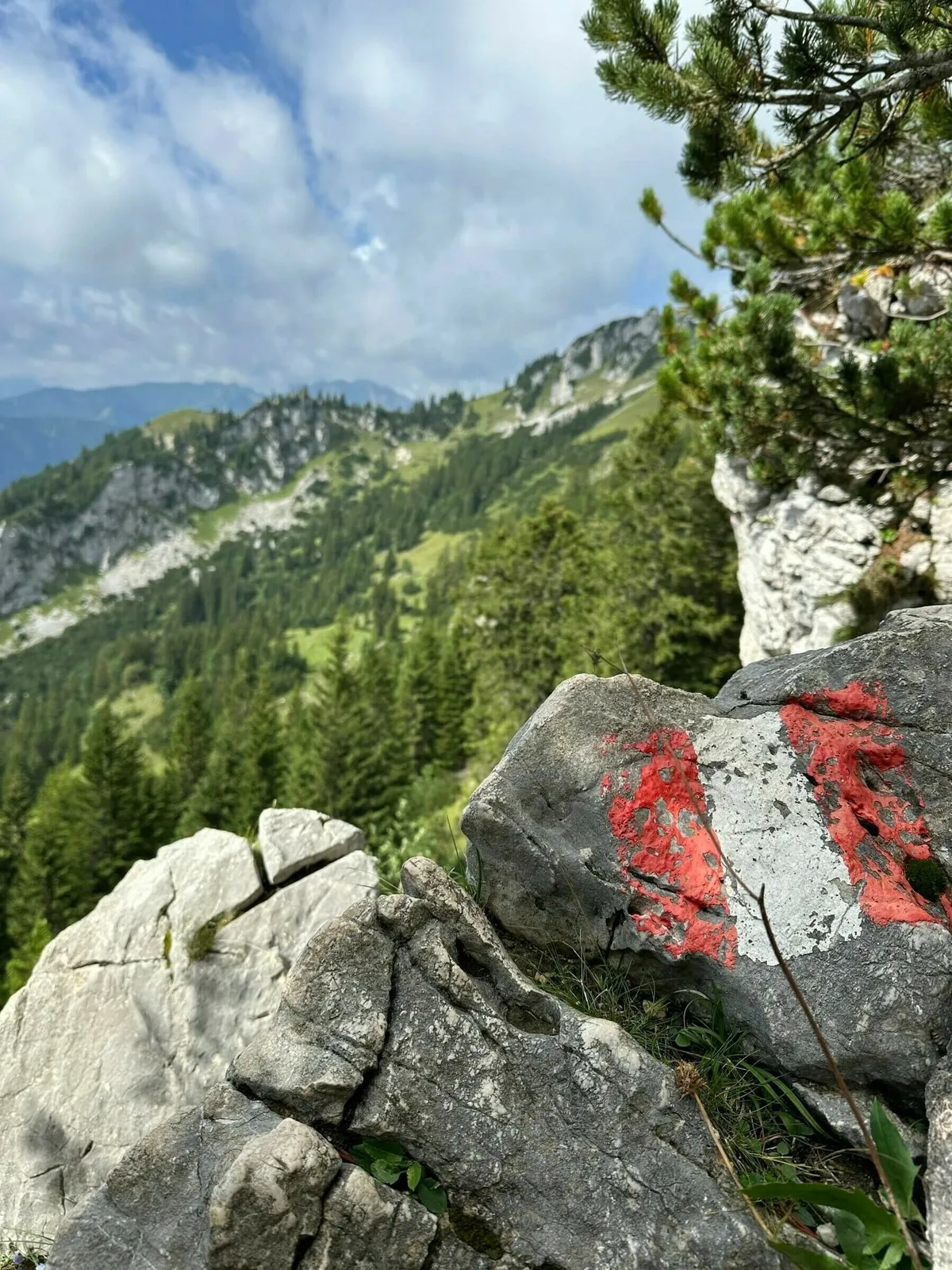 Nahaufnahme eines Wanderwegzeichens (rote und weiße Streifen) auf einem großen grauen Felsen. Im unscharfen Hintergrund sind steile, grüne Berghänge und Nadelwälder unter einem hellen Himmel zu sehen.