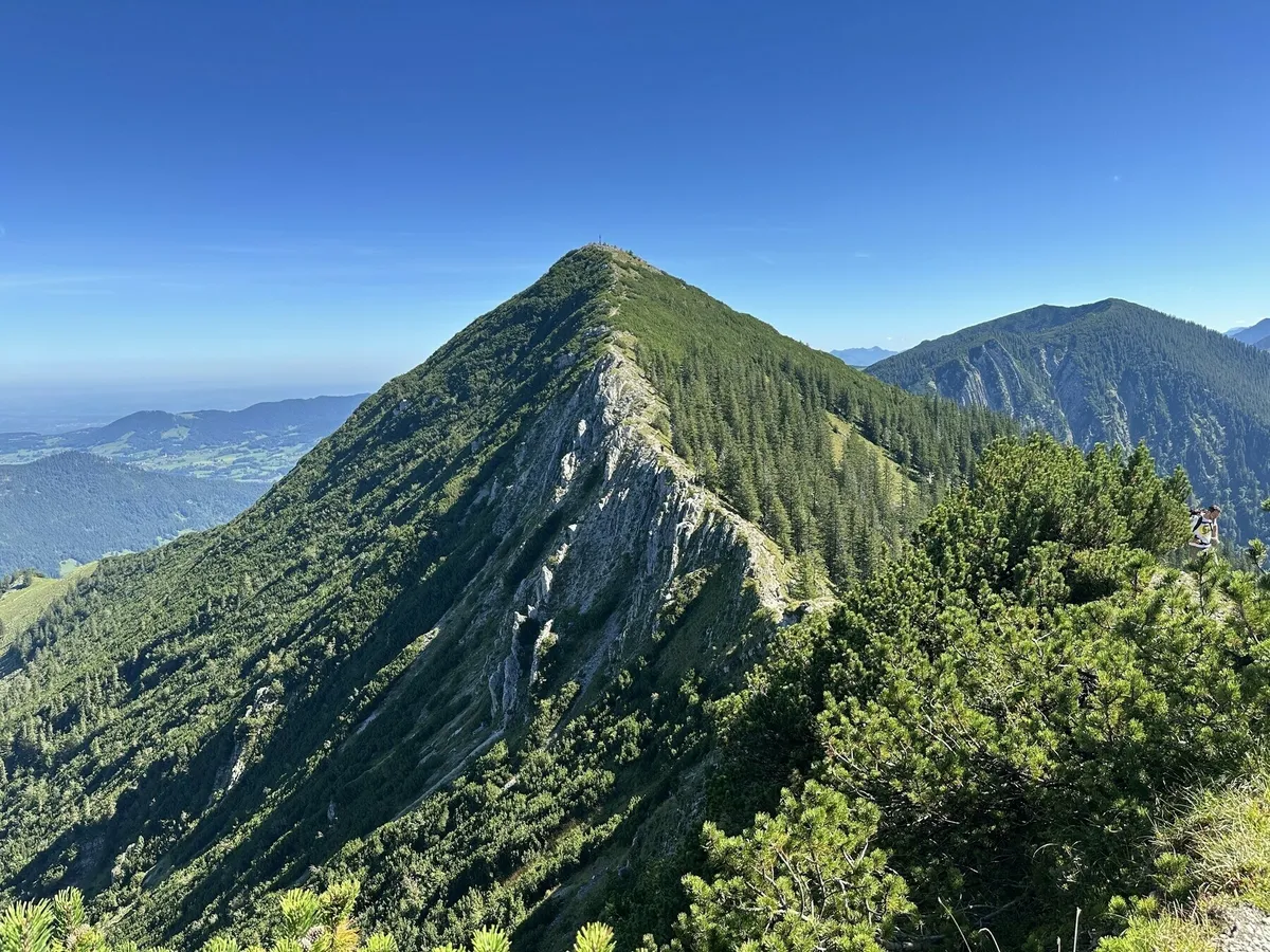 Die beeindruckende, konische Bergspitze der Brecherspitz, die mit dichtem Grün bewachsen ist, bildet eine scharfe Gratkante. Im Vordergrund sind grüne Kiefern zu sehen. Im Hintergrund erstreckt sich eine weite Landschaft unter einem tiefblauen Himmel.