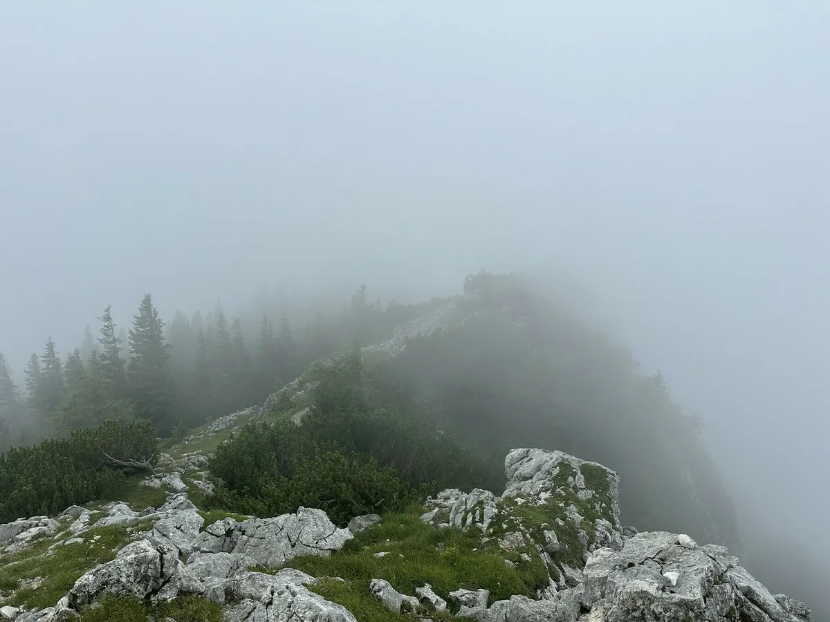 Waldweg im Aufstieg mit Blick ins sonnige Tal.