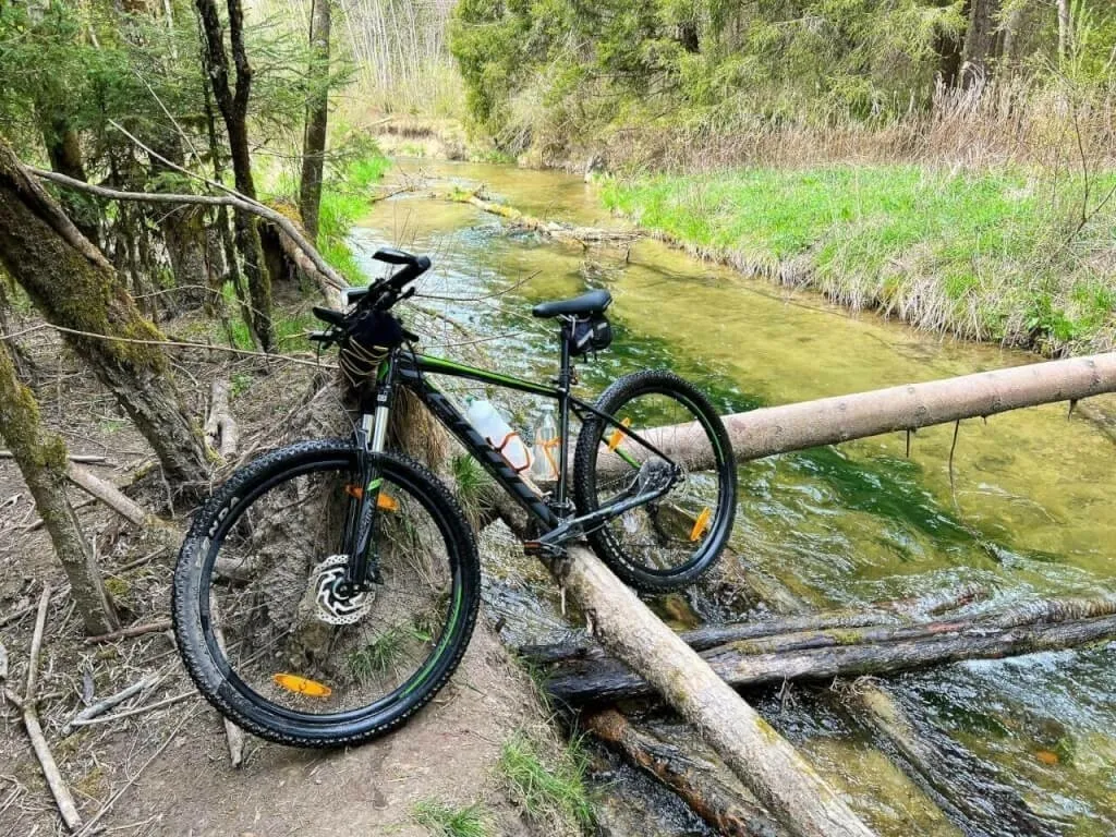 Uff! Auf den Baumstämmen über den Seitenarm der Isar balancieren. Ging natürlich schief.