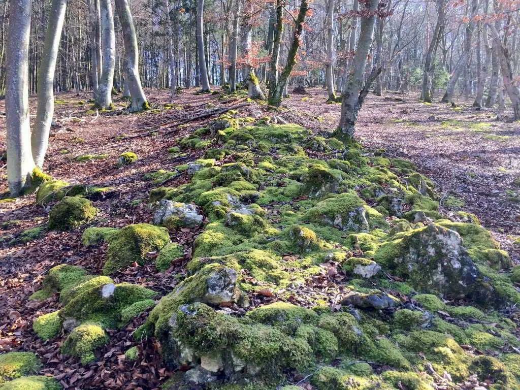 Versteckter aber noch gut erhaltener Teil des Limes in den Bergen von Altmannstein im Altmühltal
