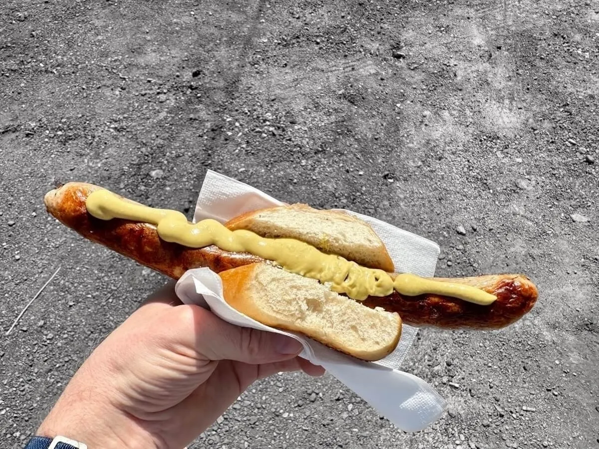 Eine Hand hält ein Brötchen mit einer langen Thüringer Bratwurst und Senf darauf.