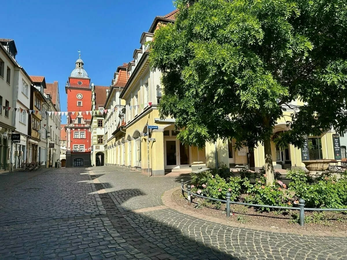Eine gepflasterte Straße in der Altstadt von Gotha mit bunten Häusern, und dem historischen Rathaus und einem Baum im Vordergrund.